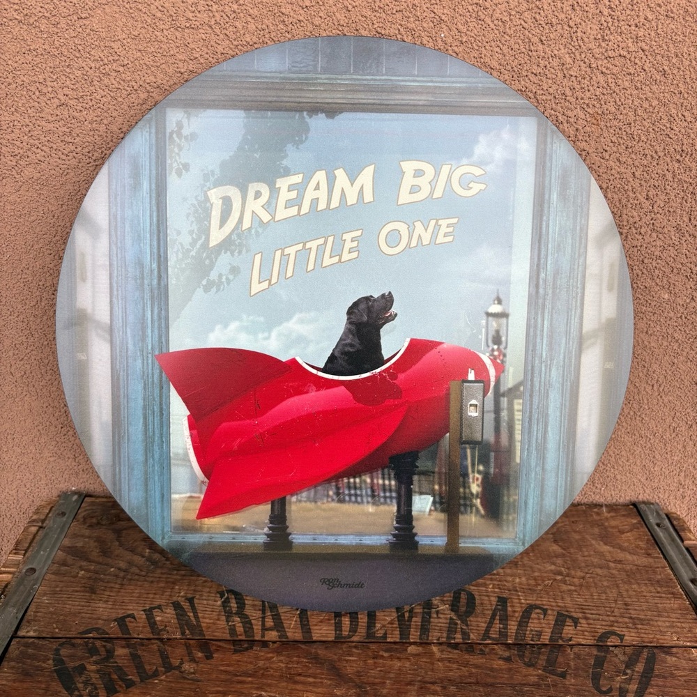 Wild Wings Dream Big Little One by Ron Schmidt plaque